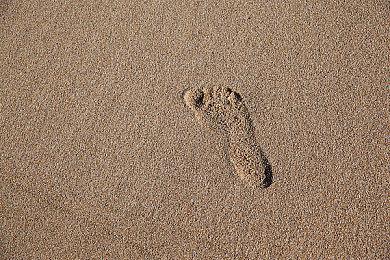 《滑板》游戏开发商重申：不会有付费开箱 充钱不会变强