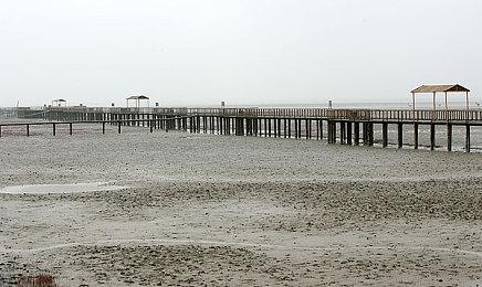 3DM速报：《使命召唤19》重返Steam！《Mirror2》“创意工坊”开启